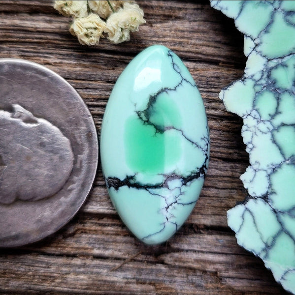Natural Desert Oasis Pit #2 Trillion Cabochon