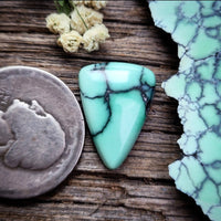 Natural Desert Oasis Pit #2 Marquise Cabochon