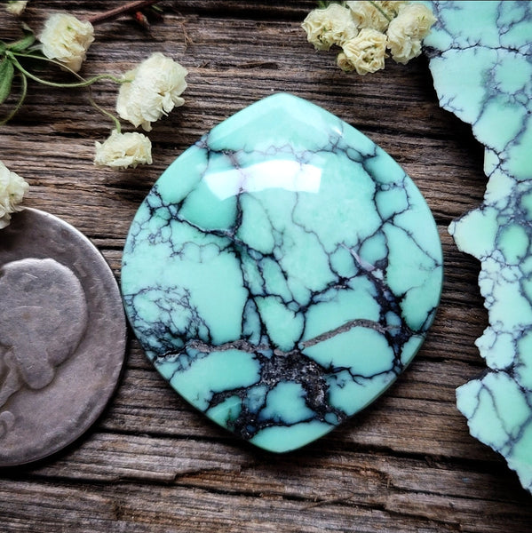 Natural Desert Oasis Pit #2 Large Marquise Cabochon