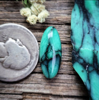 Natural Desert Oasis Pit #2 Freeform Cabochon