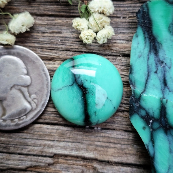 Natural Desert Oasis Pit #2 Marquise Cabochon