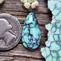 Natural Desert Oasis Pit #2 Round Cabochon