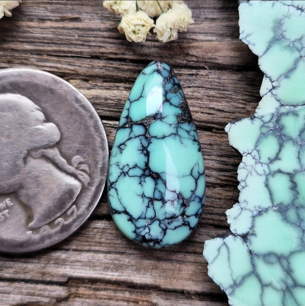 Natural Desert Oasis Pit #2 Round Cabochon