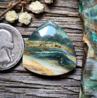Gary Green Trillion Cabochon