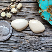 WMT Freeform Earring Pair Cabochon