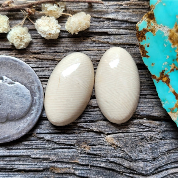 WMT Oval Earring Pair Cabochon