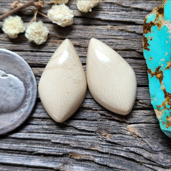 WMT Drop Earring Pair Cabochon