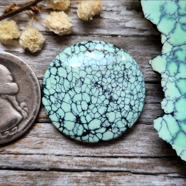 Desert Oasis Pit #2 Spiderweb Round Cabochon