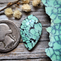 Desert Oasis Pit #2 Spiderweb Drop Cabochon