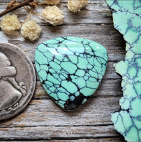 Desert Oasis Pit #2 Spiderweb Trillion Cabochon