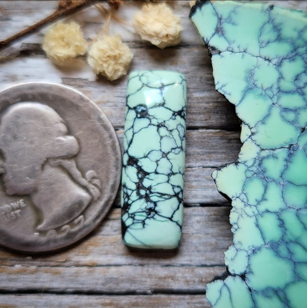 Desert Oasis Pit #2 Spiderweb Bar Cabochon