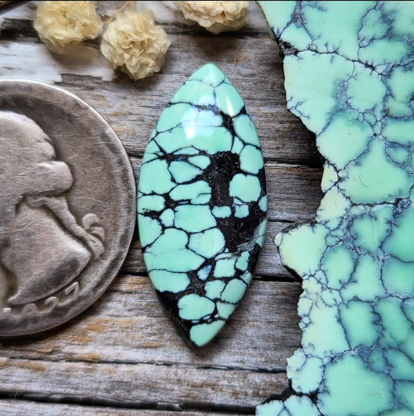 Desert Oasis Pit #2 Spiderweb Marquise Cabochon