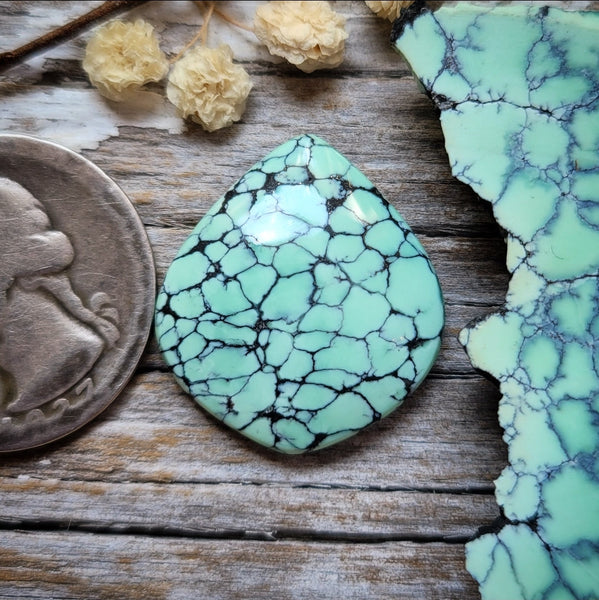 Desert Oasis Pit #2 Spiderweb Fancy Drop Cabochon