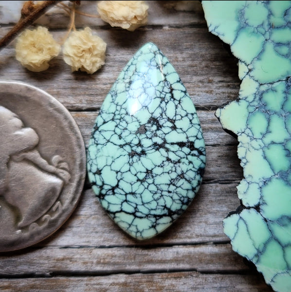 Desert Oasis Pit #2 Spiderweb Drop Cabochon
