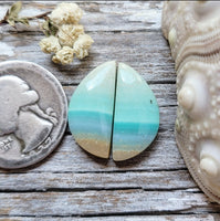 Opalized Wood Half Moon Earring Pair Cabochon