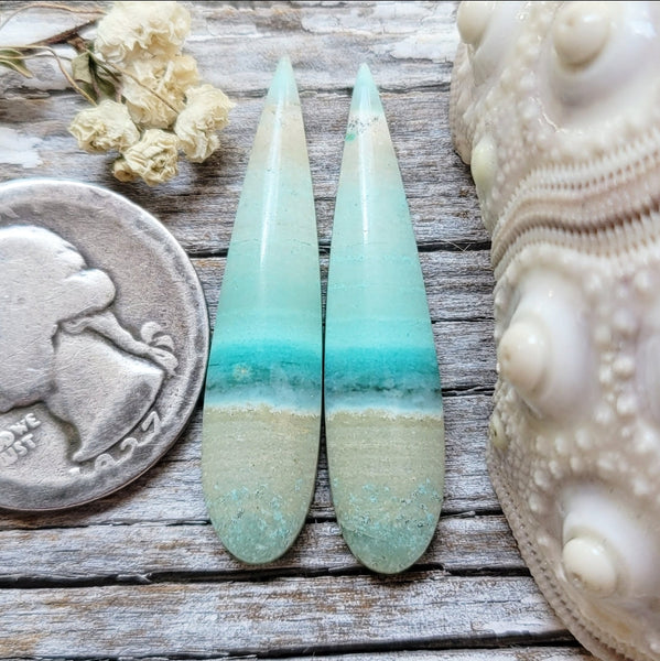 Opalized Wood Talon Earring Pair Cabochon