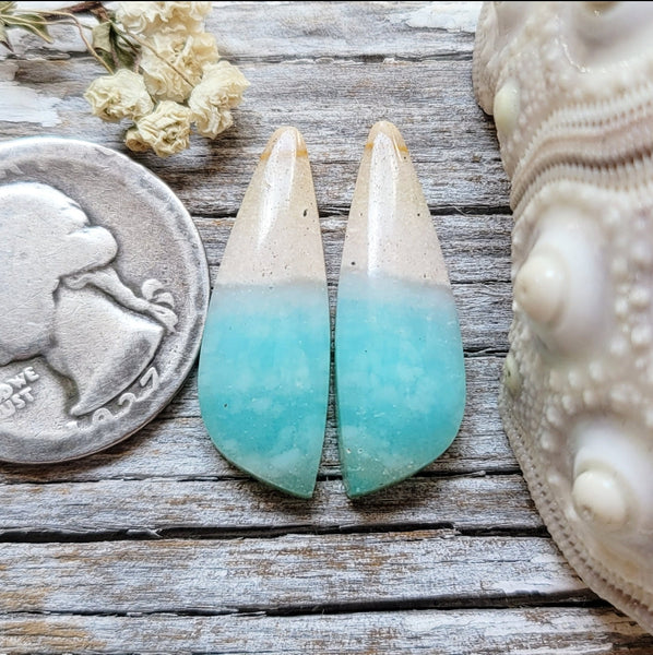Opalized Wood Drop Earring Pair Cabochon