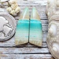 Opalized Wood Freeform Earring Pair Cabochon