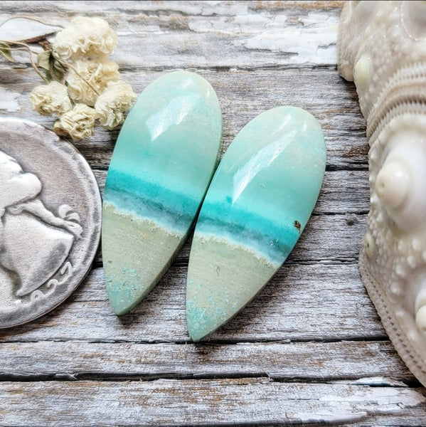 Opalized Wood Teardrop Earring Pair Cabochon
