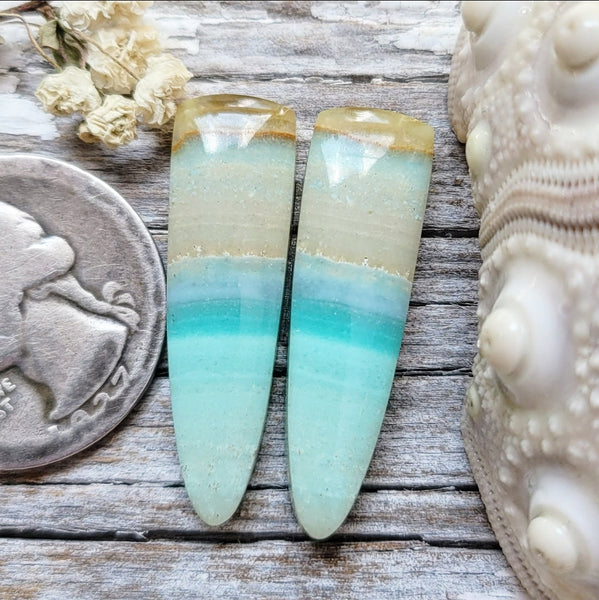 Opalized Wood Tapered Baguette Earring Pair Cabochon