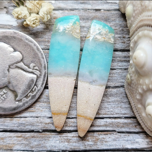 Opalized Wood Talon Earring Pair Cabochon