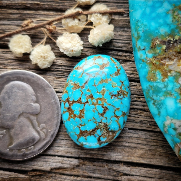 Kingman Turquoise Mountain Diamond Cabochon