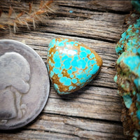 #8 Turquoise Small Trillion Cabochon