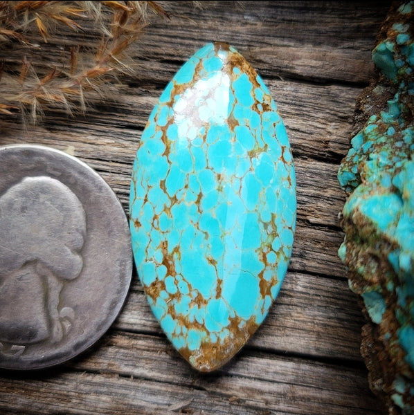 #8 Turquoise Large Marquise Cabochon