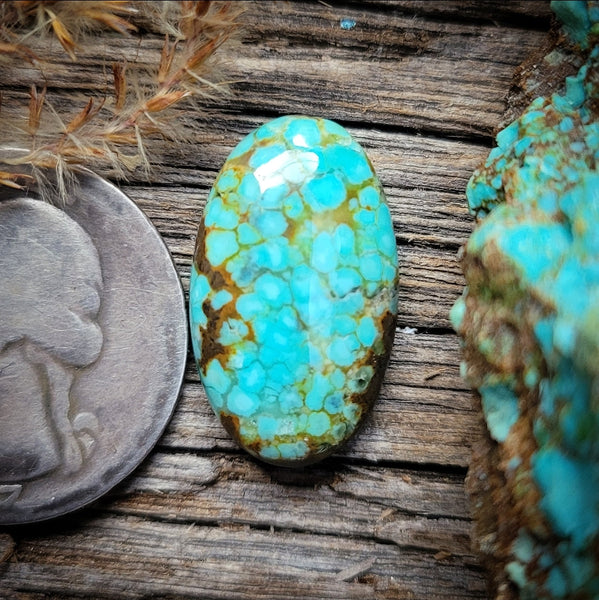 #8 Turquoise Oval Cabochon