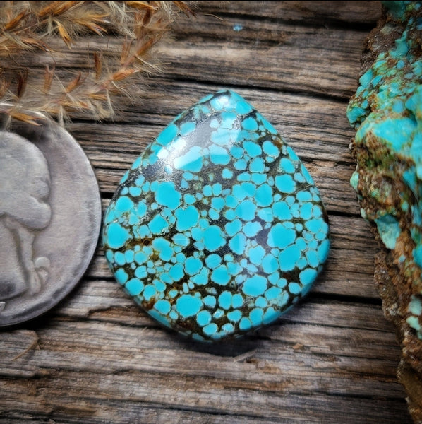 #8 Turquoise Freeform Cabochon