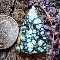 Angel Wing Variscite