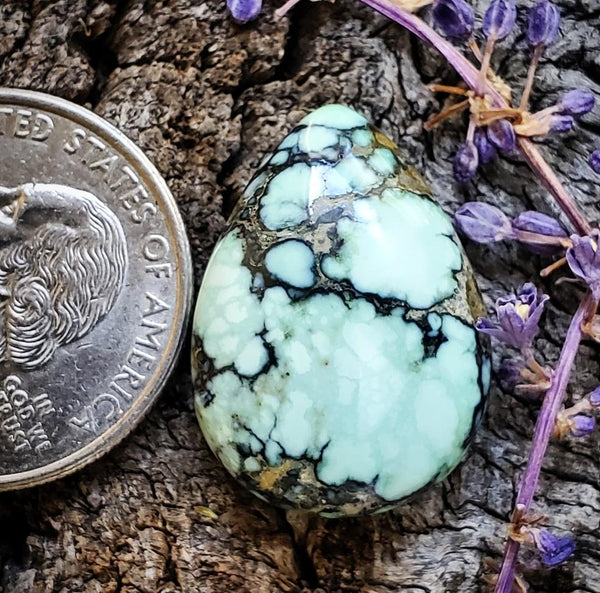 Angel Wing Variscite