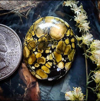 Dark Moon Turquoise