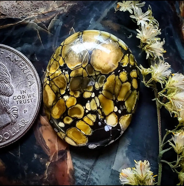Dark Moon Turquoise