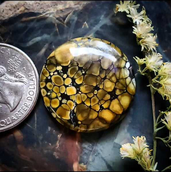 Dark Moon Turquoise