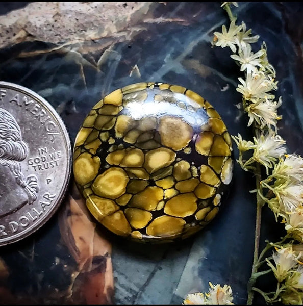 Dark Moon Turquoise