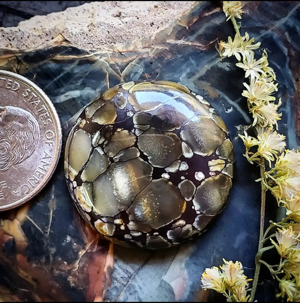 Dark Moon Turquoise
