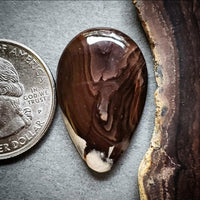 Deschutes Picture Jasper Cabochon