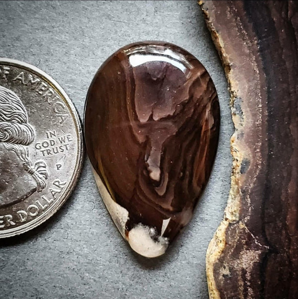 Deschutes Picture Jasper Cabochon