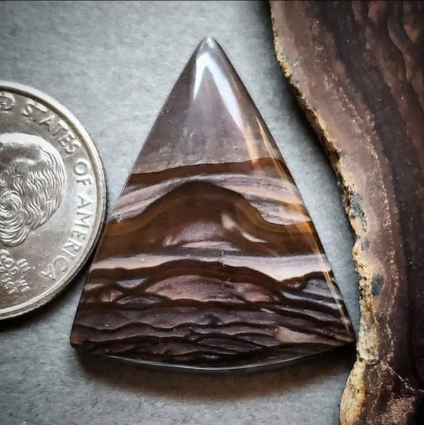 Deschutes Picture Jasper Cabochon