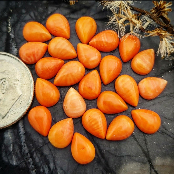 Ethically Sourced 5x7mm Dyed Bamboo Coral