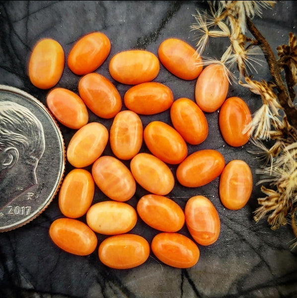 Ethically Sourced 6x4mm Dyed Bamboo Coral