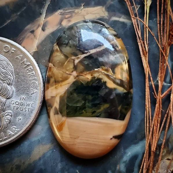 Morrisonite