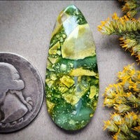 Paisley Dreams Variscite Freeform Cabochon