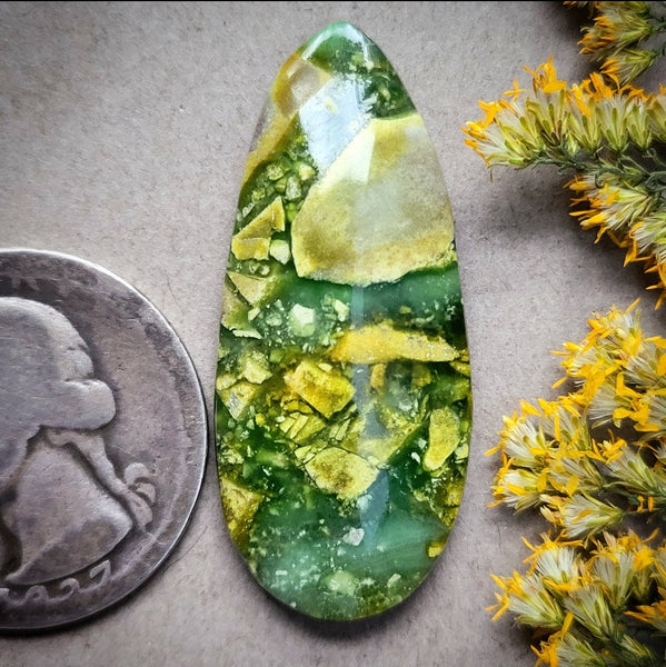 Paisley Dreams Variscite Freeform Cabochon