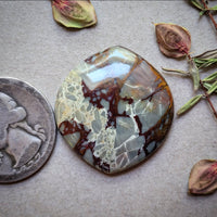 Dead Camel Jasper Chunky Marquise Cabochon