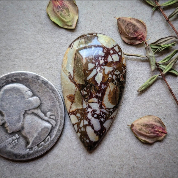 Dead Camel Jasper Teardrop Cabochon