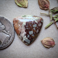 Dead Camel Jasper Trillion Cabochon