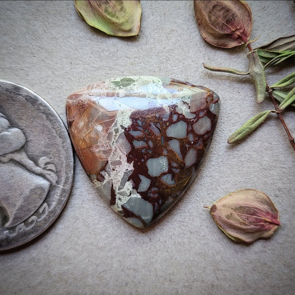 Dead Camel Jasper Trillion Cabochon