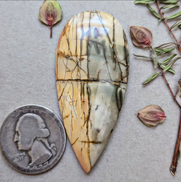 Cherry Creek Jasper Large Freeform Cabochon